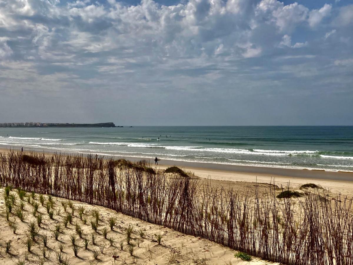 פניש Best Houses 37 - Driftwood Ocean מראה חיצוני תמונה